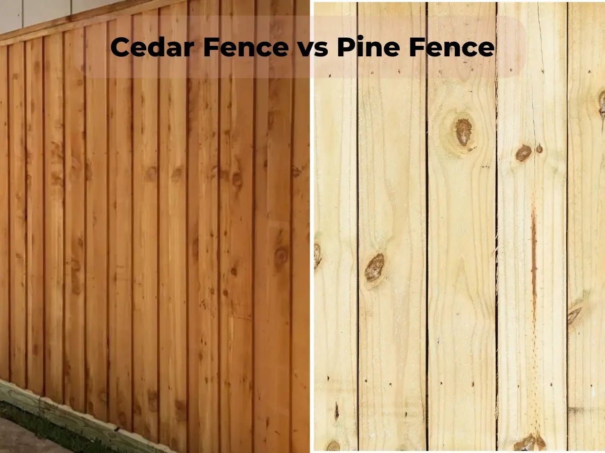 Cedar vs. Pine Fence Understanding Your Fence Material Options